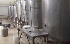 fermenteiras  fabricação bebida láctea