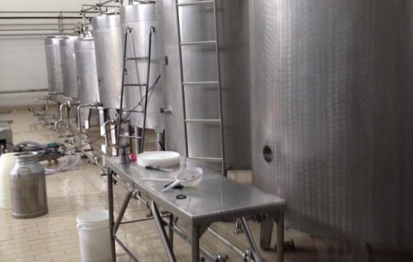 fermenteiras  fabricação bebida láctea